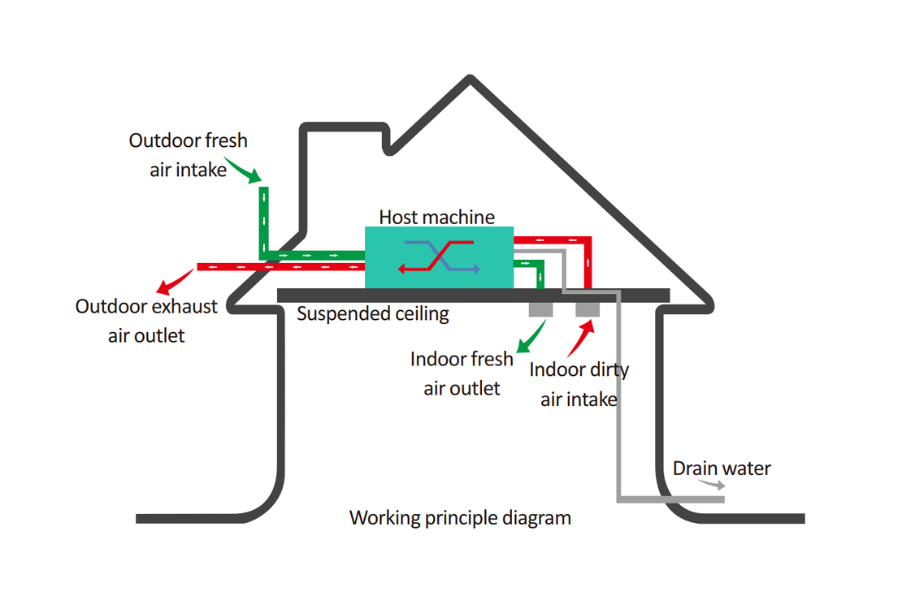 3 dấu hiệu cho thấy nhà bạn đang thiếu khí tươi