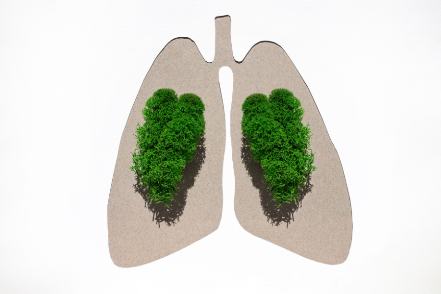 Công nghệ Ion âm là gì? Tại sao nhiều hãng điều hòa lại sử dụng?