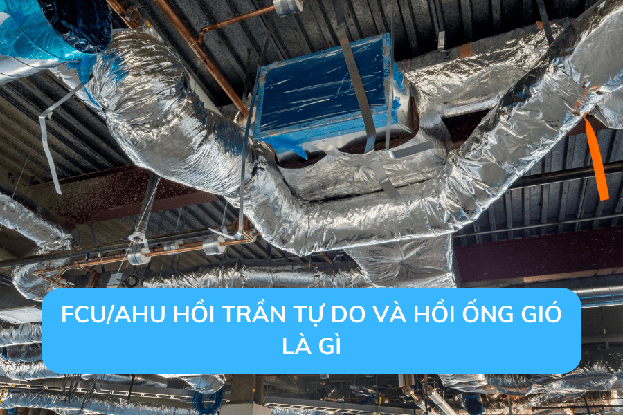 fcu-ahu-hoi-tran-tu-do-va-hoi-ong-gio-la-gi