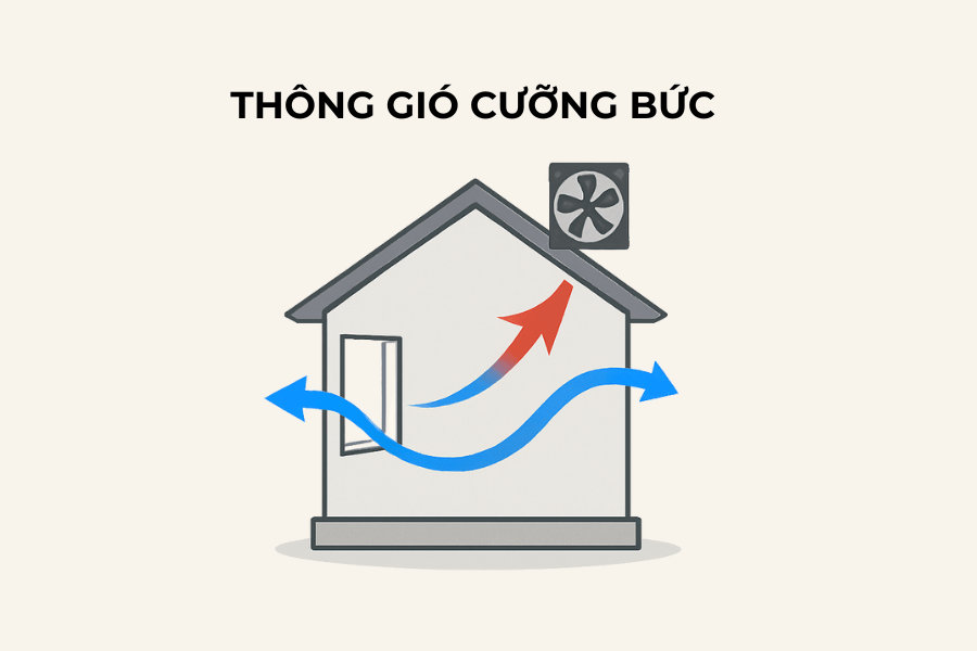 Thông gió tự nhiên và thông gió cưỡng bức: Ưu, nhược điểm và khi nào nên áp dụng?